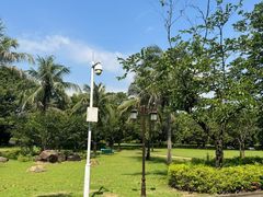 -南沙蒲洲花园