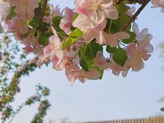 -元大都城垣遗址公园