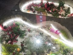 -欠火锅·水牛毛肚·团建聚餐·生日宴(何山路店)