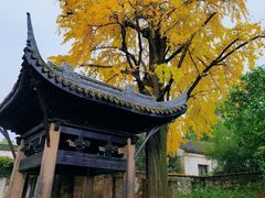 -惠山古镇·寄畅园