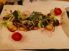 -春树下·树屋花房西餐厅(罍街AS1980店)