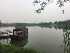 -扬州芍药园(仪征市)