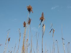 -星乐汇量贩式KTV(中冶祥腾城市广场店)