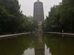 -玲珑塔公园