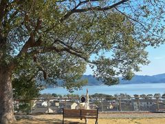 -东钱湖旅游度假区