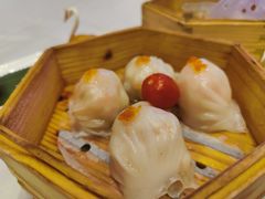 -粤江春·早茶·潮粤菜·宴会(罗湖宝能中心店)