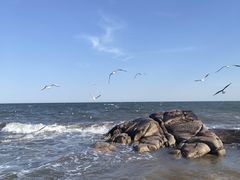 -老虎石海上公园