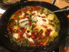 -金牌外婆家(苏州中心店)