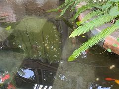 -吃货私房菜(丽江束河古镇店)