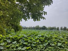 -云龙湖旅游景区