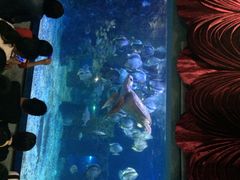 海洋世界-台州海洋世界