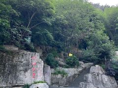 -铁山坪森林公园