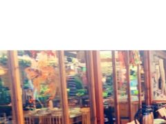 -二荆条·蜀鲜汇城市森林火锅