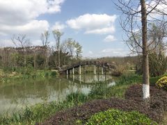 -白鹭湾湿地公园