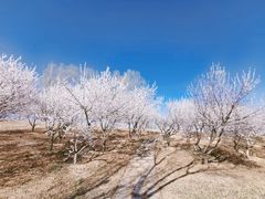 -马家湾湿地公园