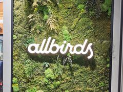 -allbirds(三里屯太古里南区店)