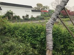 -嬉乐湾休闲旅游区