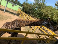 -西霞口神雕山野生动物世界