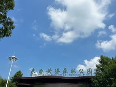 -黄海国家森林公园
