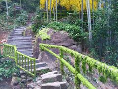 -山沟沟景区