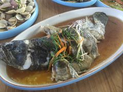 -蟹老板的海鲜