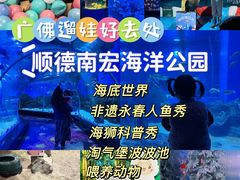 -顺德南宏海立方海洋公园