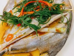 蒸鱼-长平老姿娘夜粥(平东一街店)