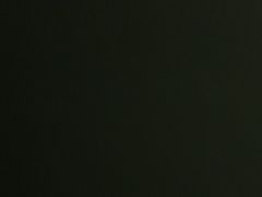 -西双版纳总佛寺