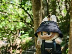 -广州白江湖森林公园