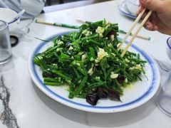 炝拌丝瓜尖-张记荞面馆