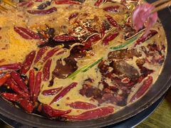 -黄潇洒老火锅(九眼桥宏济巷店)