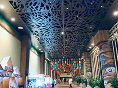 -杭州开元森泊度假乐园