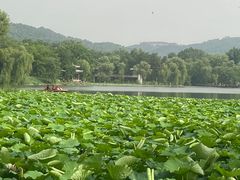 -承德避暑山庄景区