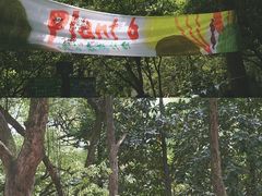 -杭州植物园
