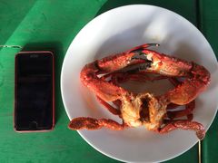 -Green Lobster Waskaduwa Seafood Restaurant