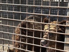 -水上乐园·欢乐世界