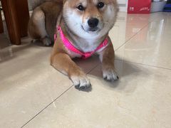 -蓉城西二道无名冒菜(西二道街店)