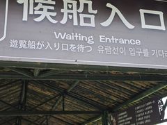 -泗洪洪泽湖湿地景区