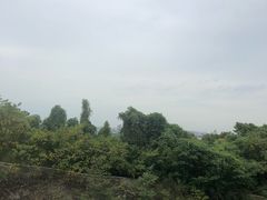 -苏州清山会议中心