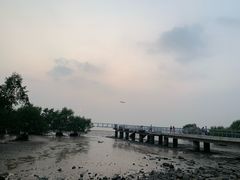 -宝安西湾红树林湿地公园