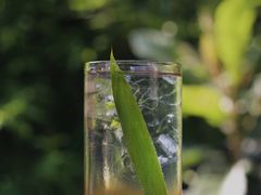 青梅乌龙苏打-MAISON门前杂货店