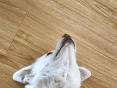 -炙韩料理·部队锅专门店