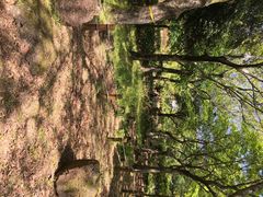iphone_upload_pic-汉拿树木园