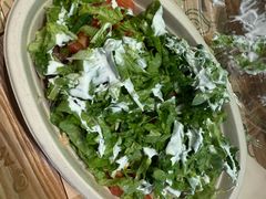 -油梨树AVOCADO TREE(望京店)