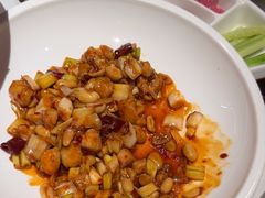 -大鸭梨烤鸭店(花园村店)