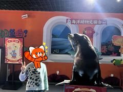 -秦皇岛新澳海底世界