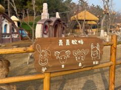 -茅山东方盐湖城景区