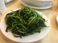 清炒鸡毛菜-京滨饭店·餐厅(阜外大街店)