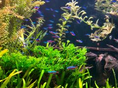 -上海海洋水族馆