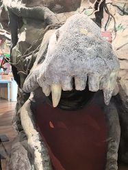 -探洞工场(丰科万达旗舰店)